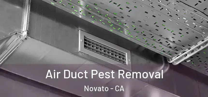  Air Duct Pest Removal Novato - CA