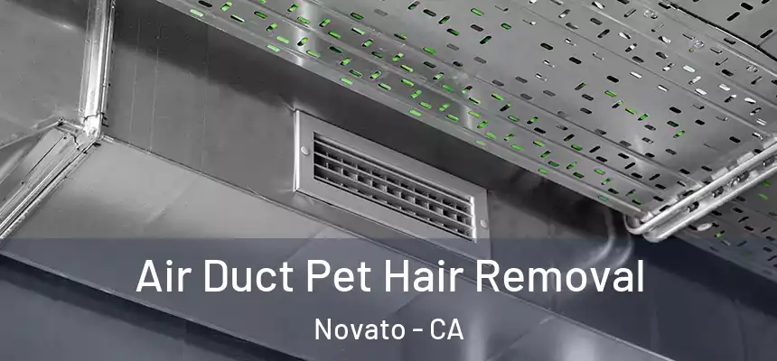  Air Duct Pet Hair Removal Novato - CA