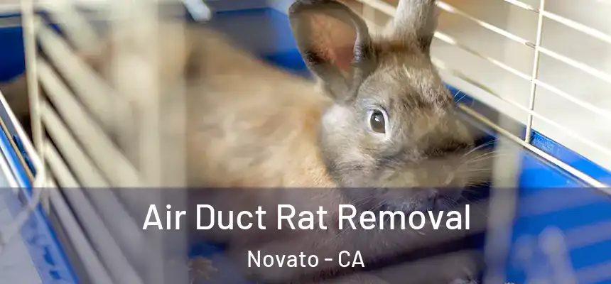 Air Duct Rat Removal Novato - CA