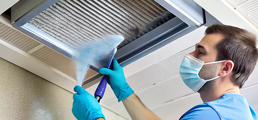Proactive Dryer Vent & Auxiliary Duct Pollen Cleanup in Novato, CA
