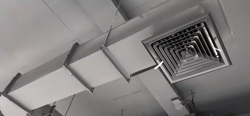 Our Pest Removal From Ducts Services in Novato, CA