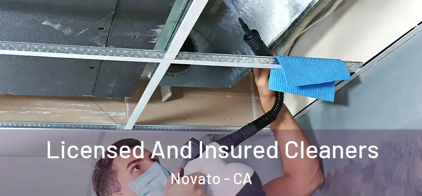 Licensed And Insured Cleaners Novato - CA