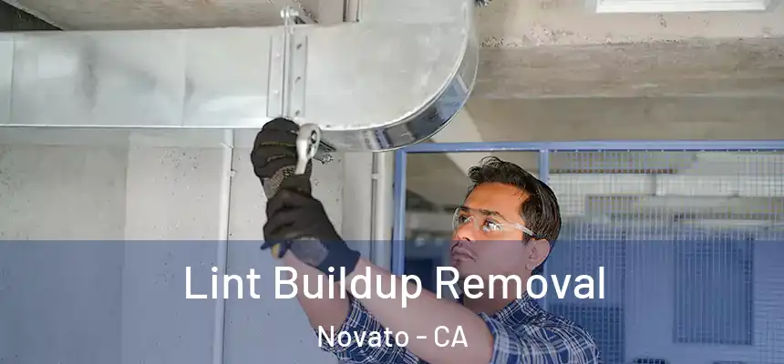  Lint Buildup Removal Novato - CA