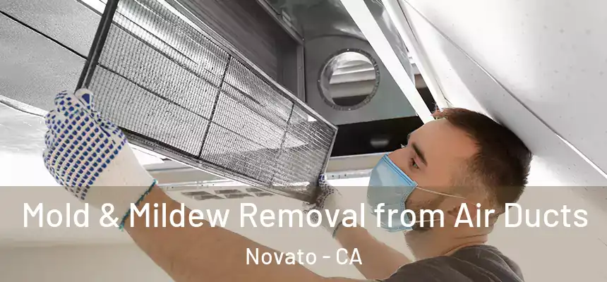  Mold & Mildew Removal from Air Ducts Novato - CA