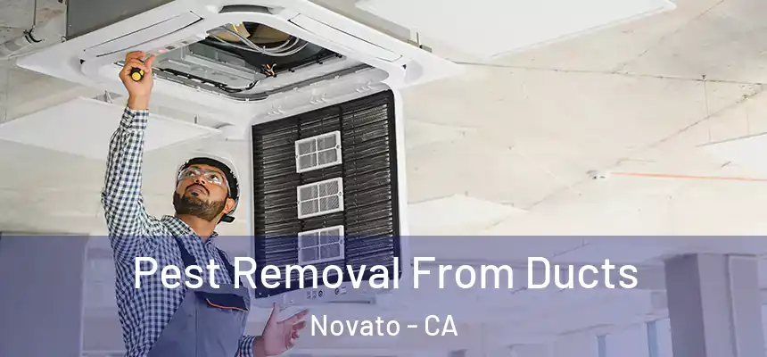  Pest Removal From Ducts Novato - CA