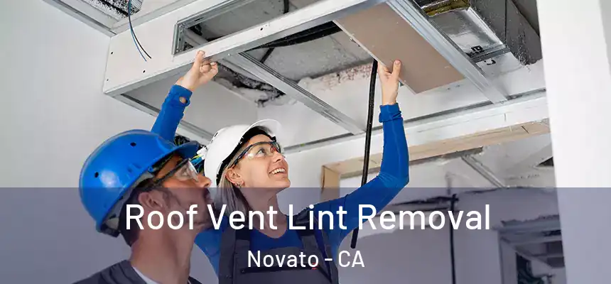  Roof Vent Lint Removal Novato - CA