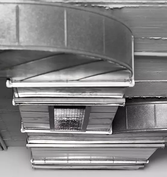 Professional Air Duct Pet Hair Removal in Novato, CA