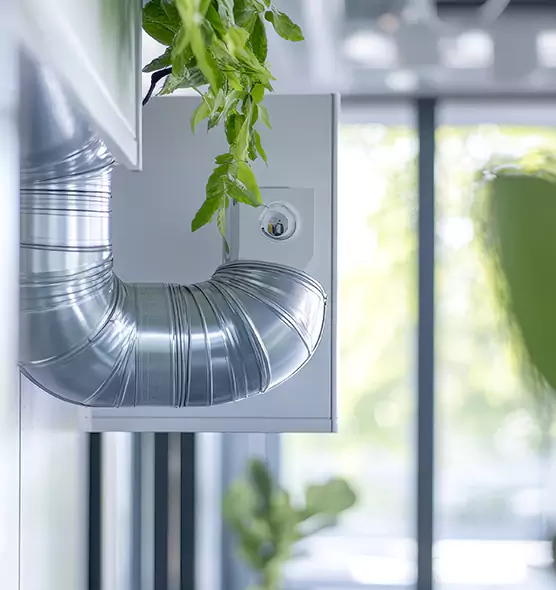 Professional Eco-Safe Dryer Vent Cleaning in Novato, CA