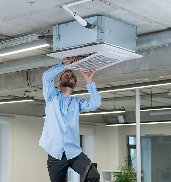 Advanced Rodent Droppings In Vents in Novato, CA