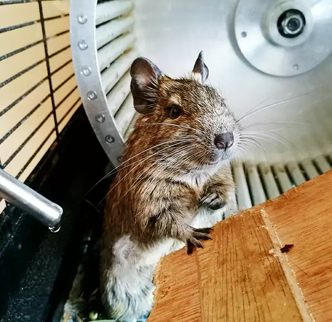 Why Homeowners & Businesses Trust Us Novato, CA