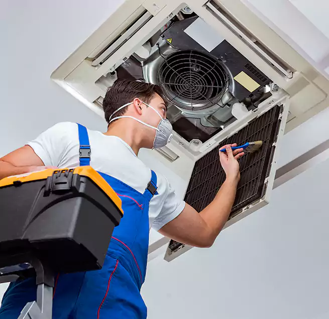 Why Homeowners & Businesses Trust Us in Novato, CA