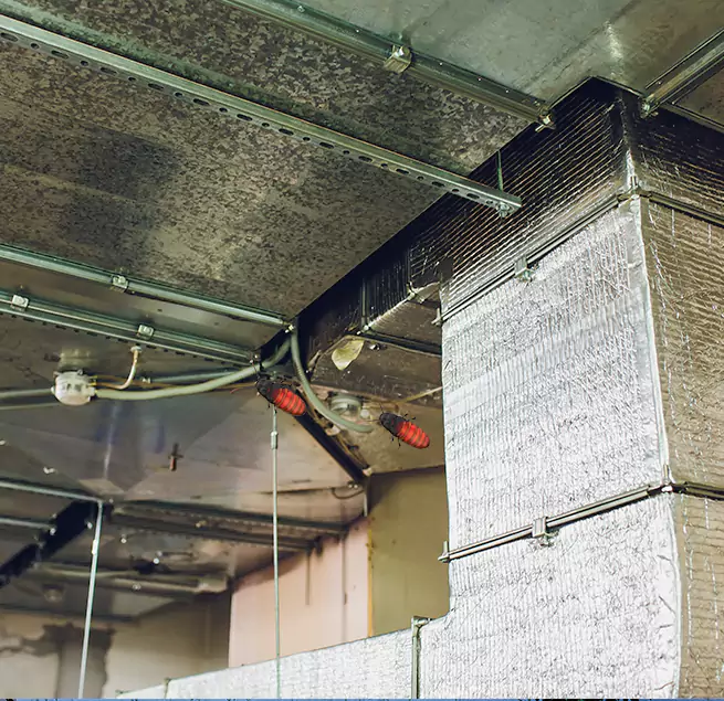 Why Homeowners & Businesses Trust Us Novato, CA?