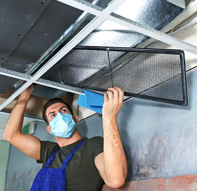 Why Homeowners & Businesses Trust Us in Novato, CA?